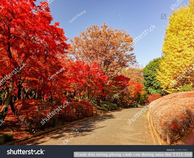 Tranh dán tường phong cảnh hồ thác, cây cối T321-477